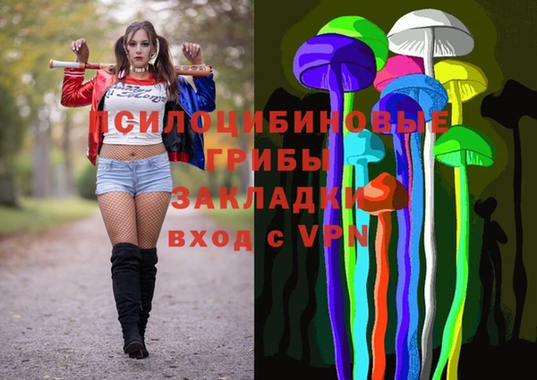 марки lsd Белокуриха