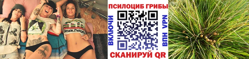 даркнет официальный сайт  Пятигорск  Псилоцибиновые грибы Magic Shrooms  наркотики 